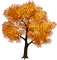 Fall Tree-RM - PNG gratuit GIF animé