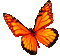 Animated.Butterfly.Orange - By KittyKatLuv65 - Animovaný GIF zadarmo animovaný GIF