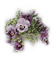 flores  violetas transparentes dubravka4 - Free PNG Animated GIF