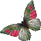 Mariposa - GIF animate gratis GIF animata