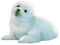 foca - Free PNG Animated GIF