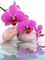 lotus boudha - gratis png geanimeerde GIF