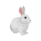 -rabbit-coniglio-lapin-Kaninchen-Кролик - png gratis GIF animasi