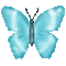 turquoise butterfly gif