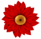 Sunflower-RM - darmowe png animowany gif
