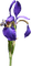 Tournesol94 fleur - bezmaksas png animēts GIF