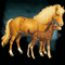 poney - Darmowy animowany GIF animowany gif