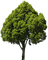 Baum - ingyenes png animált GIF