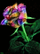 Flores - Безплатен анимиран GIF анимиран GIF