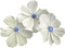 spring white flowers Bb2 - PNG gratuit GIF animé
