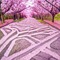 Pink Sakura Path - png ฟรี GIF แบบเคลื่อนไหว