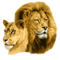 lion katrin - PNG gratuit GIF animé