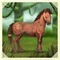 cheval - PNG gratuit GIF animé