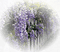 fleur violette.Cheyenne63 - ücretsiz png animasyonlu GIF