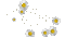 falling flowers - GIF animado grátis Gif Animado