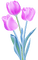 purple tulips - безплатен png анимиран GIF