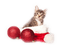 chat - kostenlos png Animiertes GIF