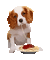 Dog Deco Spaghetti Gif JitterBugGirl