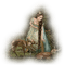 princess in the woods - png grátis Gif Animado