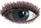 глаза - Darmowy animowany GIF animowany gif
