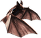 soave deco bat gothic halloween brown - безплатен png анимиран GIF