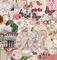 vintage collage pink beige background - 無料png アニメーションGIF