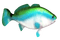 Fische - безплатен png анимиран GIF