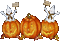 halloween - Animovaný GIF zadarmo animovaný GIF