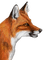 Fuchs - gratis png animeret GIF