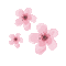 Cherry Blossom - GIF animé gratuit GIF animé