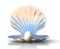 Muschel mit Perle - ilmainen png animoitu GIF