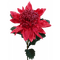 Australian native flowers bp - Free PNG Animated GIF