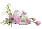 Frühling, Blumen - 免费动画 GIF 动画 GIF