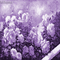 Y.A.M._Vintage landscape background flowers purple - Безплатен анимиран GIF анимиран GIF