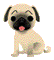 Pug - 無料のアニメーション GIF アニメーションGIF