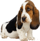 Собака - gratis png geanimeerde GIF