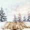 Background Winter - darmowe png animowany gif