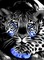 Tiger blue - GIF animado gratis