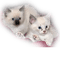 tube chats - 免费PNG 动画 GIF