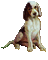 dog - Безплатен анимиран GIF анимиран GIF