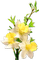 Fleurs jaune - gratis png geanimeerde GIF