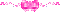 pink divider - GIF animado gratis GIF animado