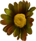 Kaz_Creations Deco Flowers Flower Colours - безплатен png анимиран GIF