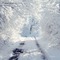 maj paysage hiver - PNG gratuit GIF animé