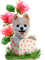 Kaz_Creations Dogs Dog Pup 🐶 Deco Flowers Flower Colours - png gratis GIF animado