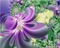 fond purple bp - безплатен png анимиран GIF