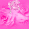 JE / Bg. animated.texture.roses.pink.idca - GIF animé gratuit GIF animé