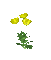 fleurs - Darmowy animowany GIF animowany gif
