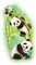 soave deco panda animals bamboo green blue - Free PNG Animated GIF