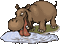 hipopotam - Bezmaksas animēts GIF animēts GIF